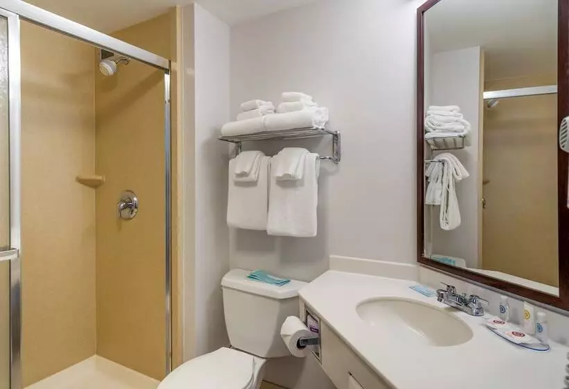 اتاق استاندارد, Comfort Inn & Suites Watertown  1000 Islands