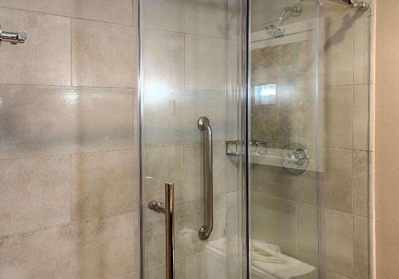 Pokój Standard Łóżko King Size, Doubletree By Hilton Denver Westminster