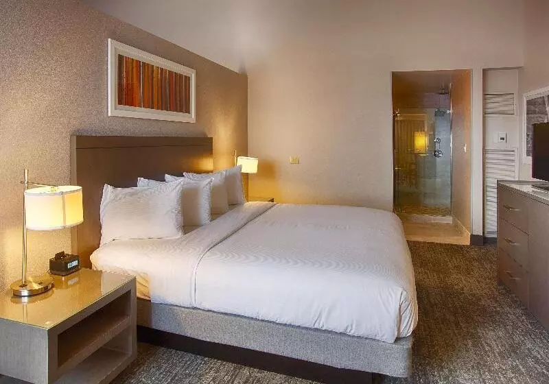 キングサイズベッドのスタンダードルーム, Doubletree By Hilton Denver Westminster