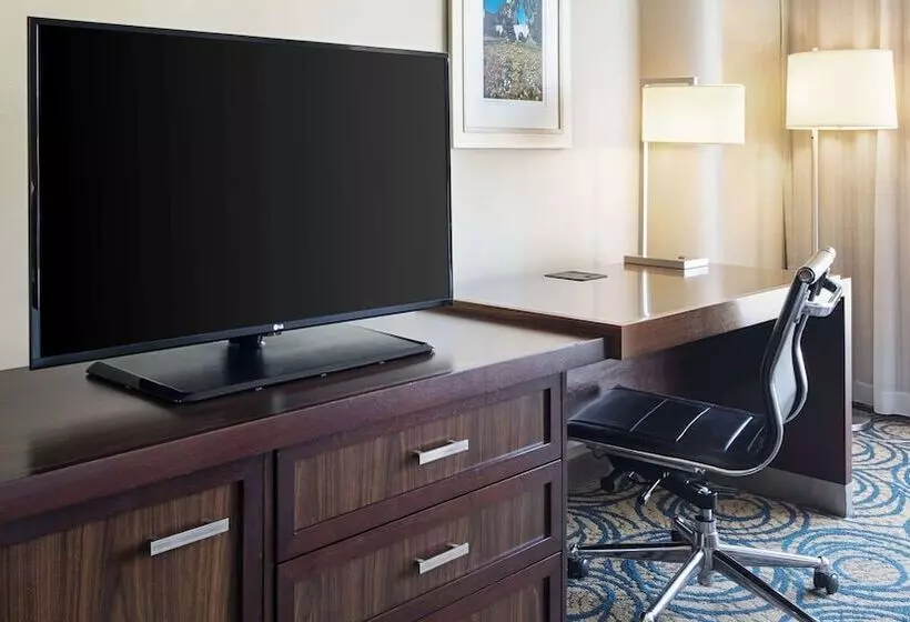 身障者適用スタンダードルーム, Doubletree By Hilton San Diego   Del Mar