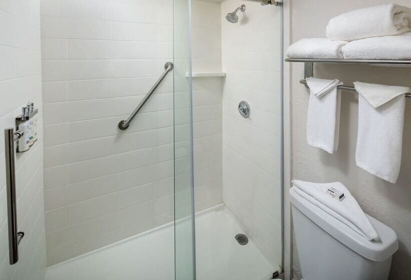 اتاق استاندارد, Holiday Inn & Suites Boca Raton   North