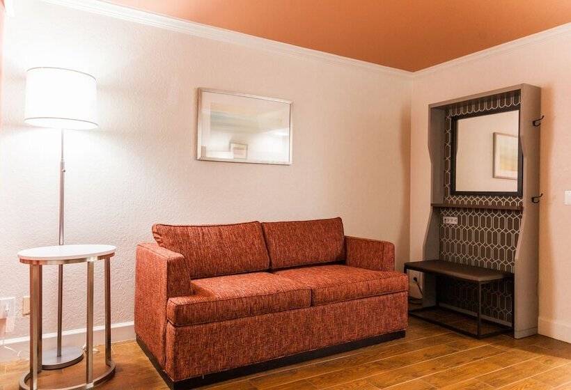 اتاق استاندارد, Holiday Inn & Suites Boca Raton   North