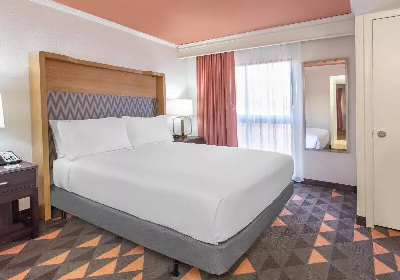 身障者適用スタンダードルーム, Holiday Inn & Suites Boca Raton North