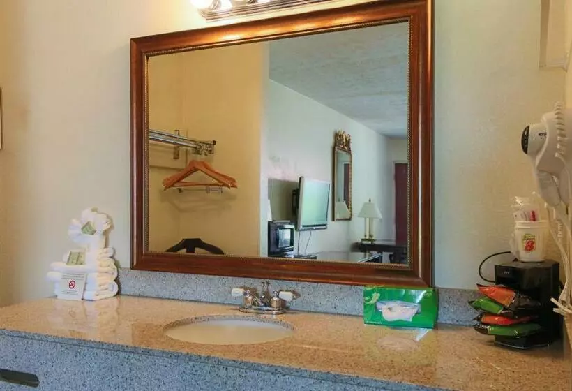 اتاق استاندارد با تخت بزرگ, Super 8 By Wyndham College Park/atlanta Airport West