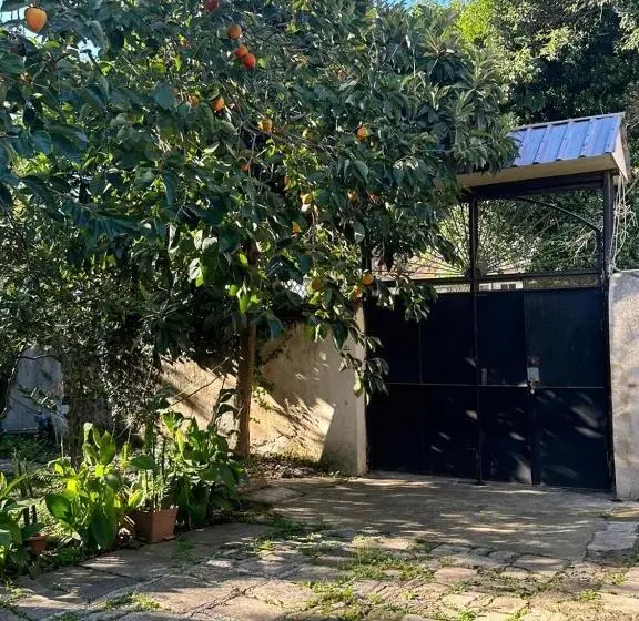 ویلای 3 خوابه, Guest House Amazon