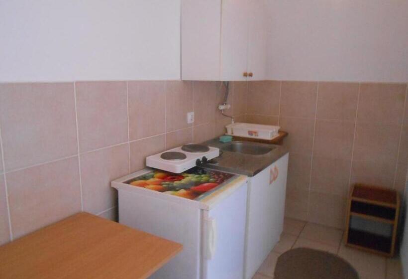 Студия Стандарт, Apartments & Hostel Zdrava Hrana