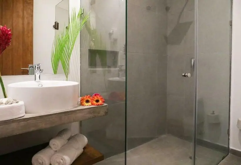 سوییت سوپریور, Blanco Tulum   Adults Only