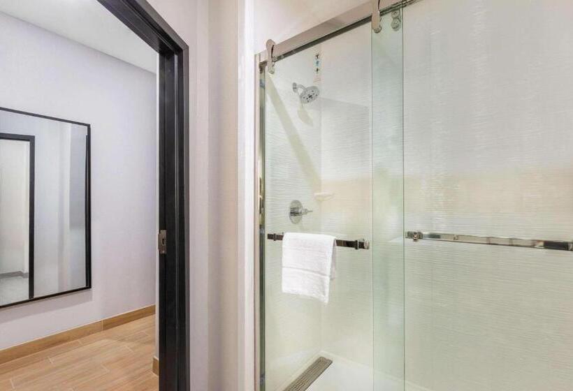 اتاق استاندارد, La Quinta Inn & Suites By Wyndham Galveston West Seawall