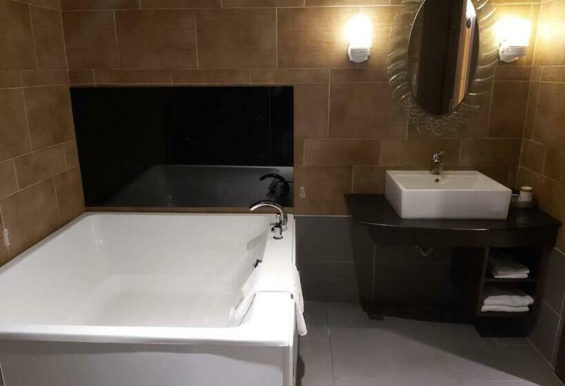 اتاق استاندارد, Chateau Motel