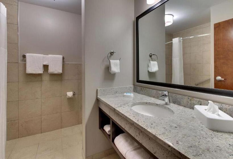 Номер Deluxe Кровать Куин, Drury Plaza Hotel Savannah Pooler