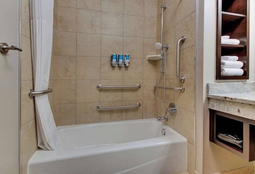 障害者適応デラックスルーム, Drury Plaza Hotel Savannah Pooler