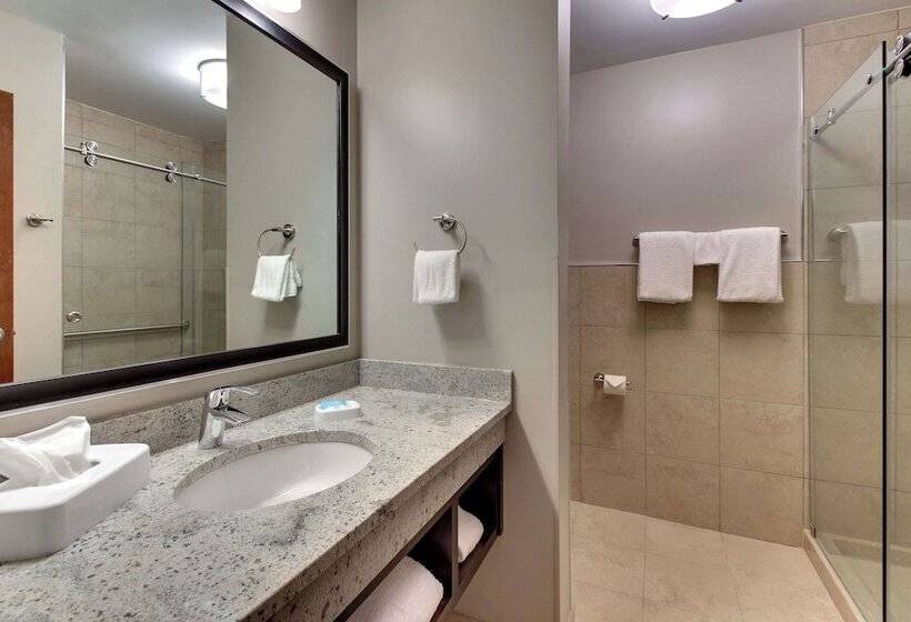 身障者適用スイートルーム, Drury Plaza Hotel Savannah Pooler