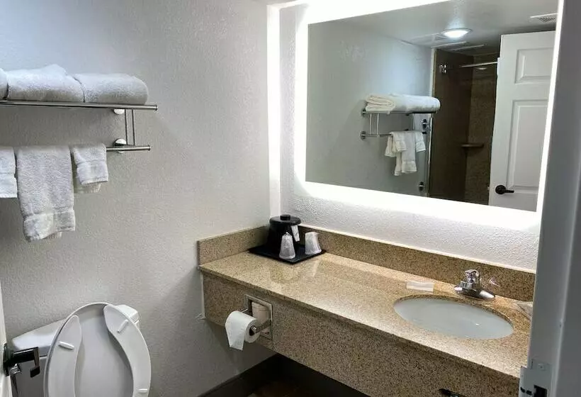 ハイドロマッサージバス付きスイート, Best Western Kennesaw