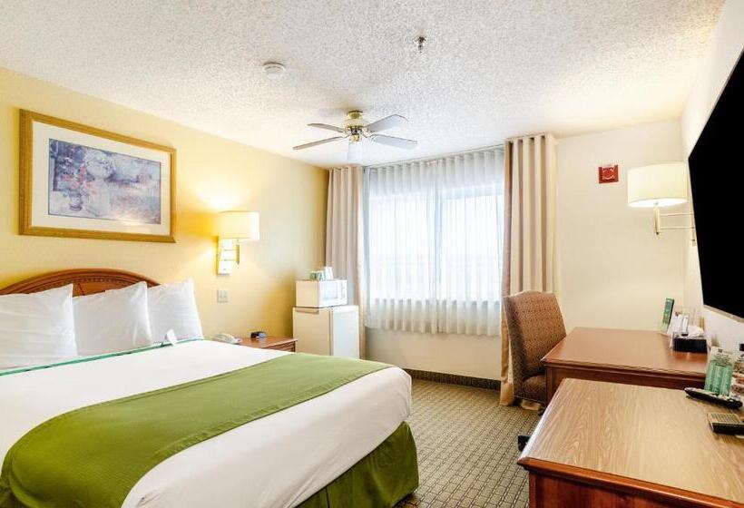 جناح سرير كينج, Cheyenne Guest Inn