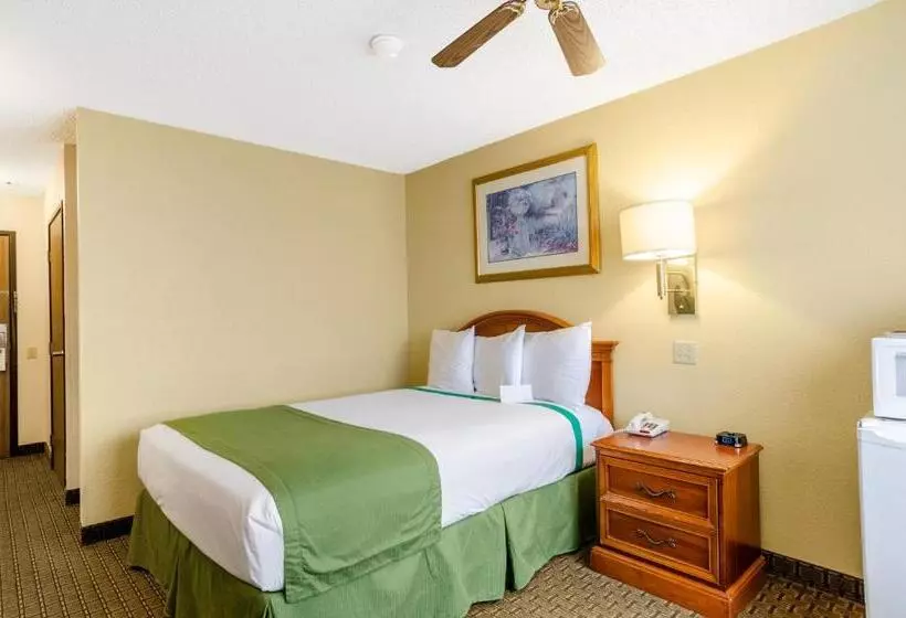 身障者適用スタンダードルーム, Cheyenne Guest Inn
