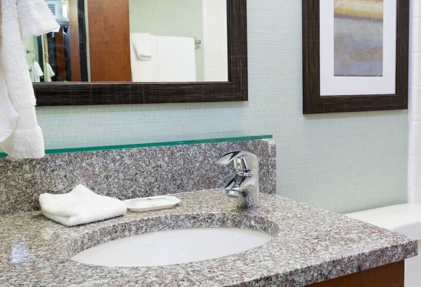 장애인용 디럭스룸, Drury Inn & Suites Atlanta Morrow