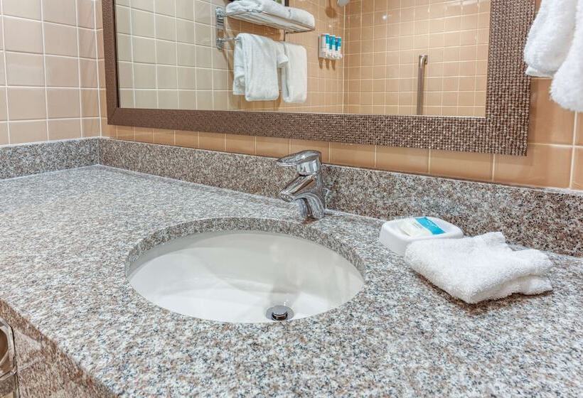 Номер Deluxe, Heritage Inn & Suites St. Louis/fenton, Trademark By Wyndham
