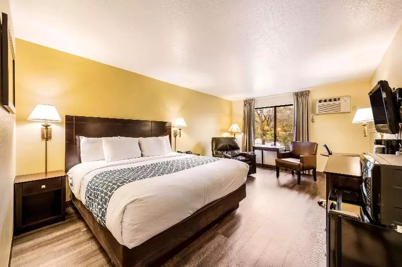 Standard-huone King-vuode, Econo Lodge Mayo Clinic Area