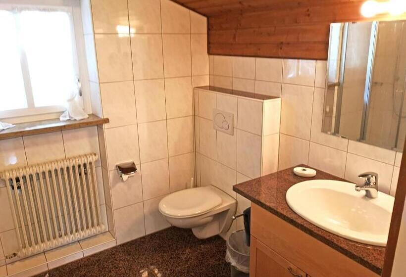 Standard-huone, Pension Brucker