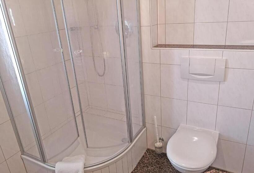 Standard Yhden Hengen Huone, Pension Brucker