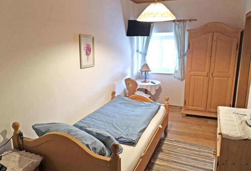 Standard Yhden Hengen Huone, Pension Brucker