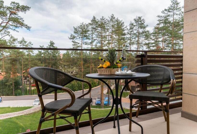 اتاق استاندارد با تراس, Buket Zlatibor