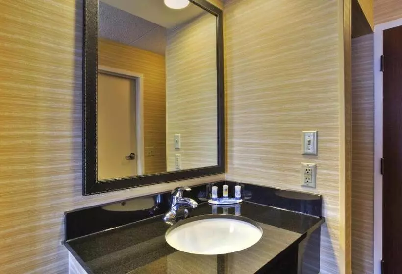 اتاق استاندارد, Fairfield Inn Ann Arbor
