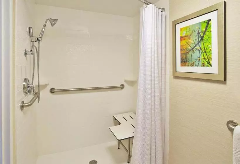 اتاق استاندارد با تخت بزرگ, Fairfield Inn Ann Arbor