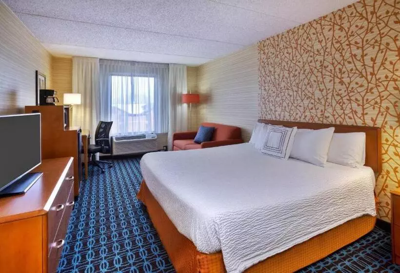 اتاق استاندارد با تخت بزرگ, Fairfield Inn Ann Arbor