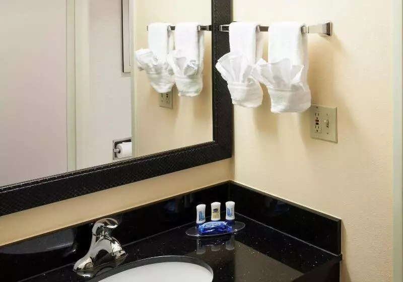 اتاق استاندارد با تخت بزرگ, Fairfield Inn By Marriott Santa Clarita Valencia