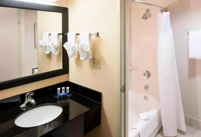 اتاق دلوکس مخصوص معلولین, Fairfield Inn By Marriott Santa Clarita Valencia