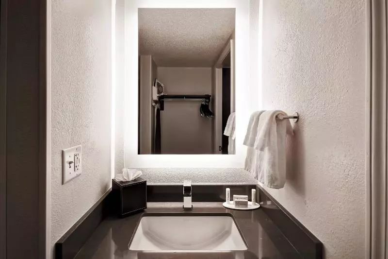 キングサイズベッドのスタンダードルーム, Fairfield Inn & Suites By Marriott Atlanta Kennesaw