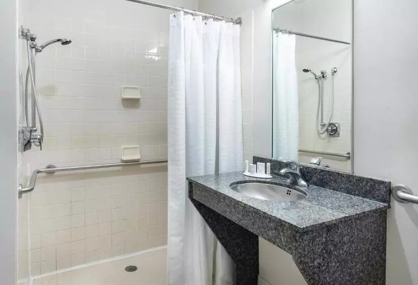 اتاق استاندارد با تخت بزرگ, Fairfield Inn & Suites Lancaster