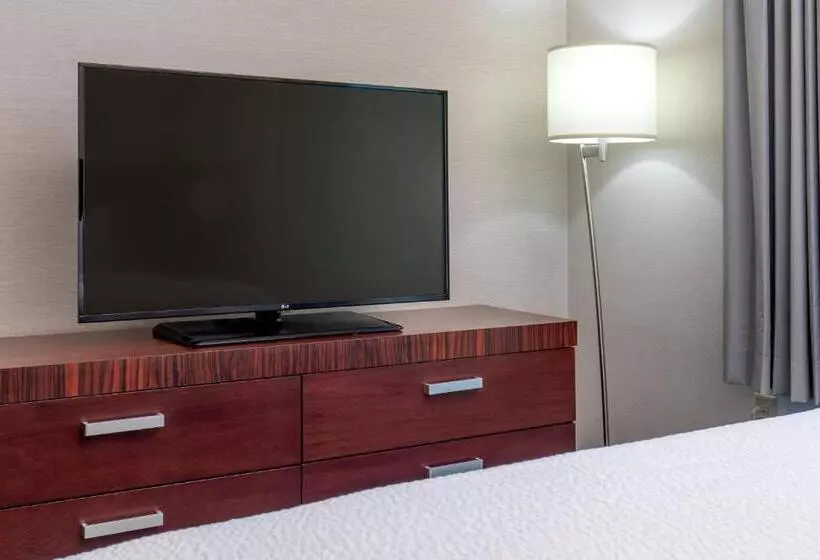 اتاق استاندارد با تخت بزرگ, Fairfield Inn & Suites Lancaster