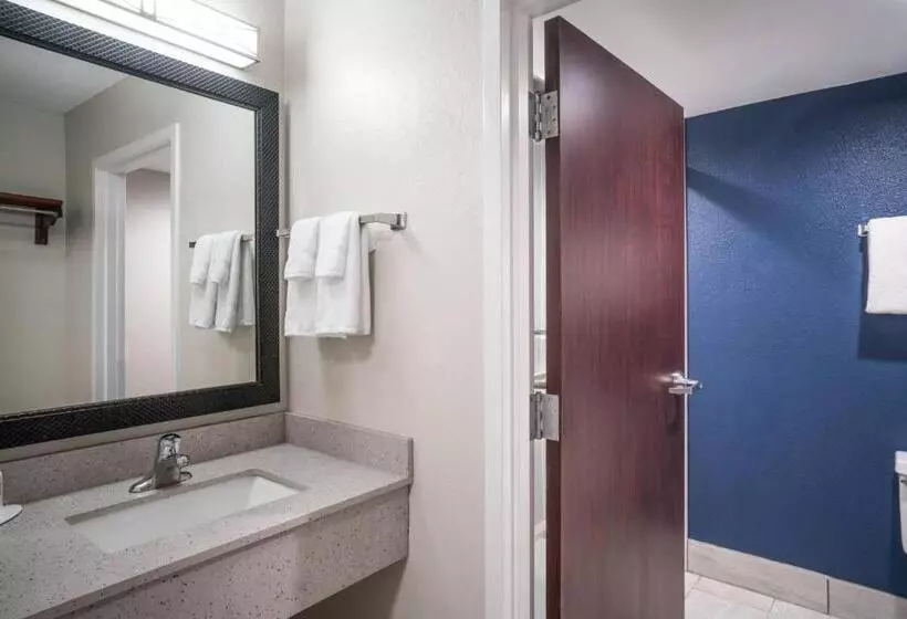 キングサイズベッドのスタンダードルーム, Fairfield Inn & Suites Memphis I240 & Perkins