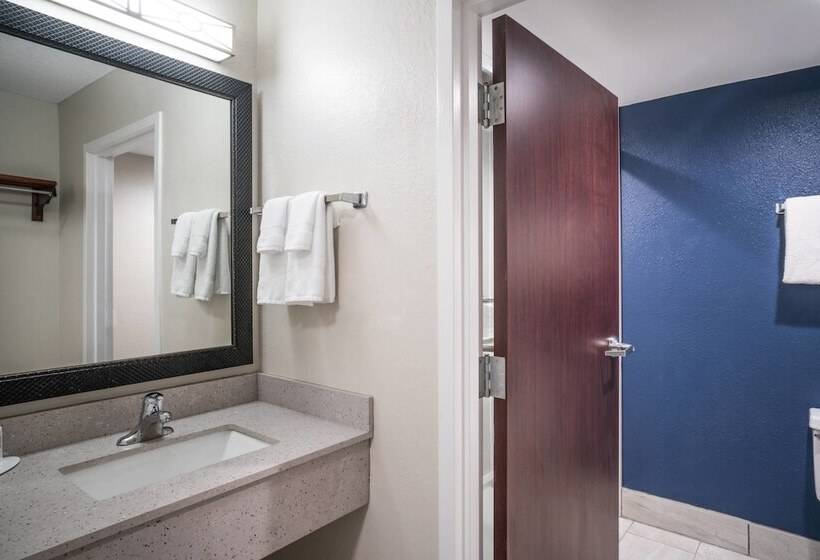 스탠다드 룸 더블 침대 2개, Fairfield Inn & Suites Memphis I240 & Perkins