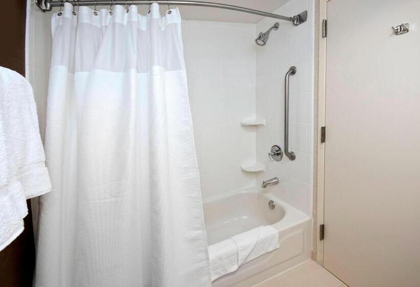 带大床的豪华间, Fairfield Inn & Suites Raleigh Durham Airport Research Triangle Park