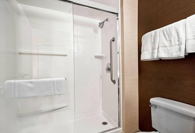 Президентский Люкс, Fairfield Inn & Suites Raleigh Durham Airport Research Triangle Park