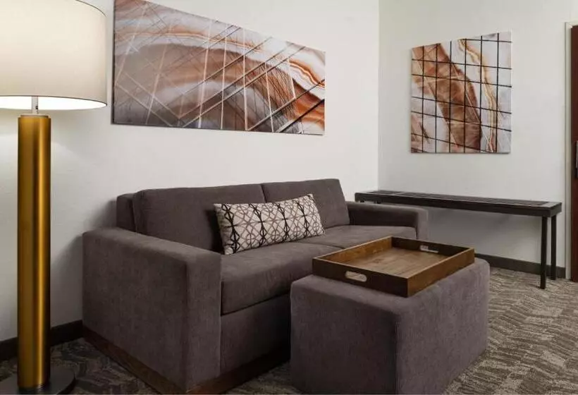 キングサイズベッドのスイートルーム, Springhill Suites Kansas City Overland Park