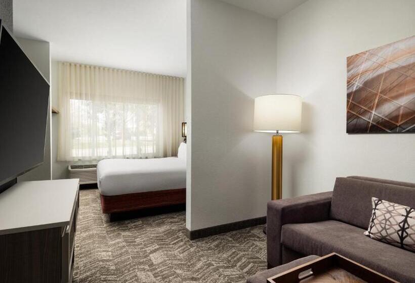 Люкс Кровать Кинг, Springhill Suites Kansas City Overland Park