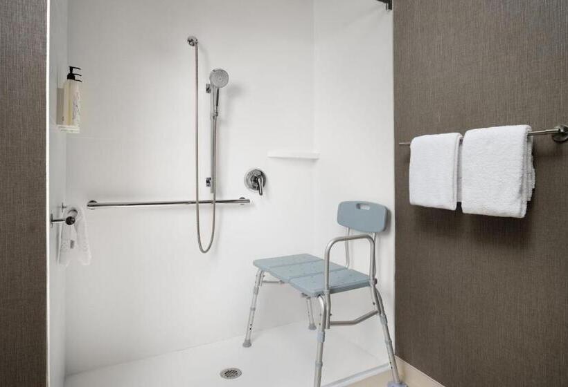 Люкс Адаптированный для Инвалидов, Springhill Suites Kansas City Overland Park
