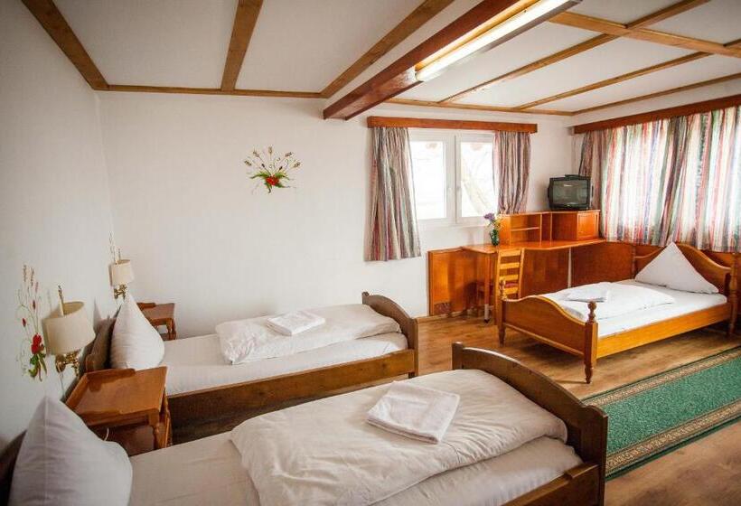 غرفة قياسية ثلاثية, Casa Cerbului1