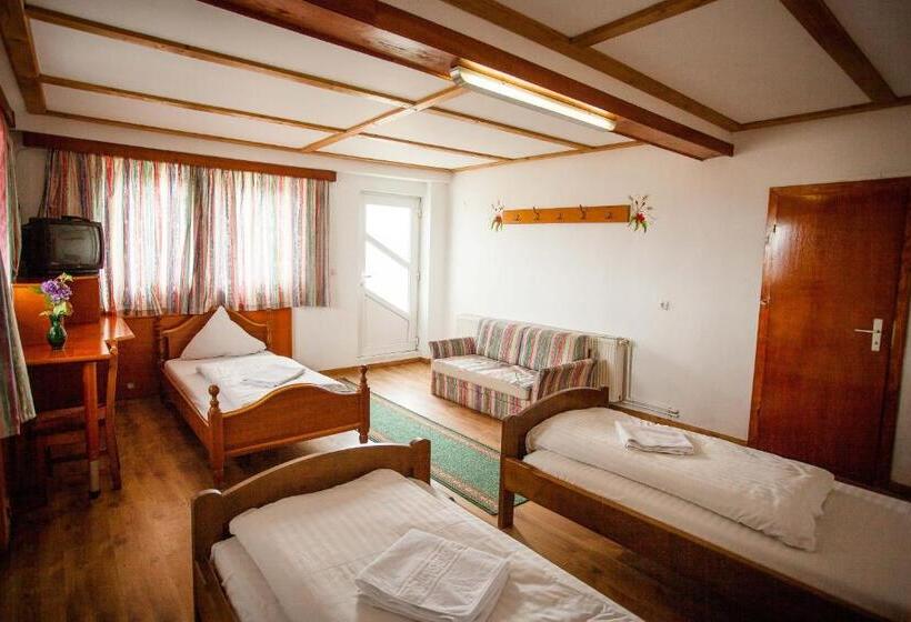 غرفة قياسية ثلاثية, Casa Cerbului1