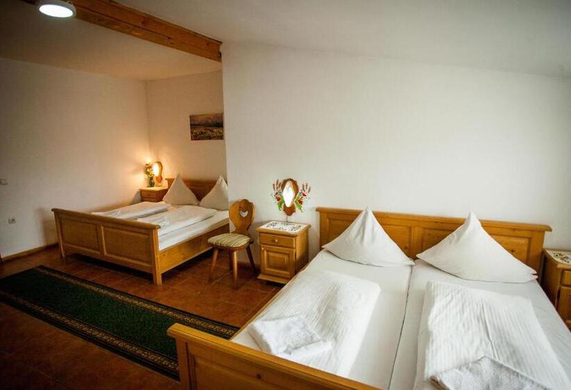 غرفة قياسية, Casa Cerbului1