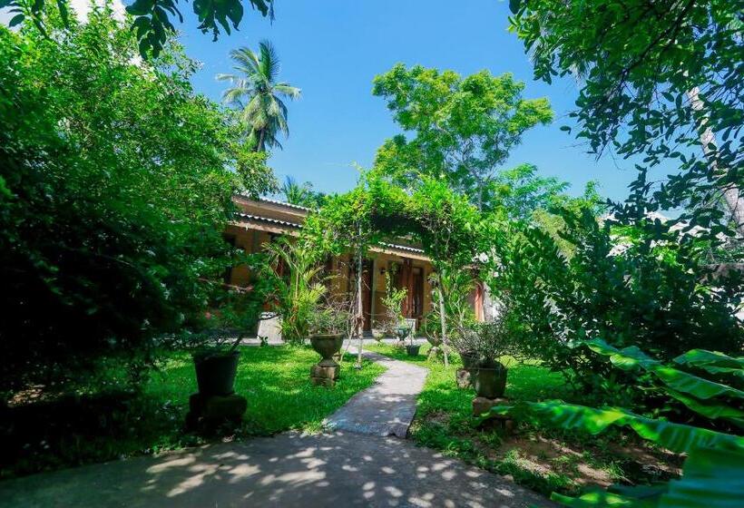 スタンダードルーム, Dandelion   Unawatuna