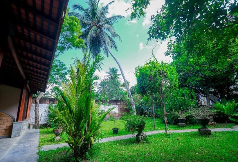 スタンダードルーム, Dandelion   Unawatuna