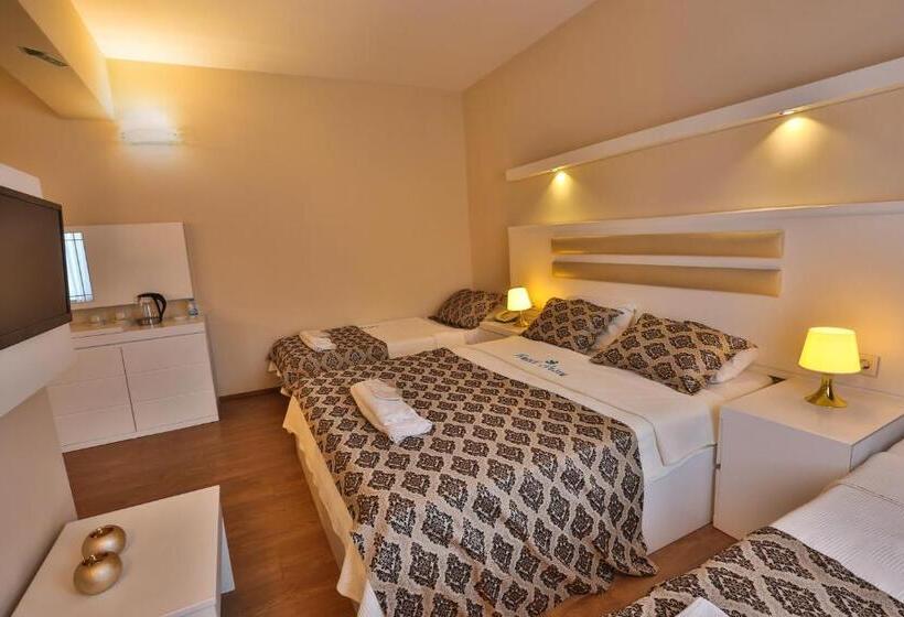 Четырехместный Номер Стандарт, Arsen