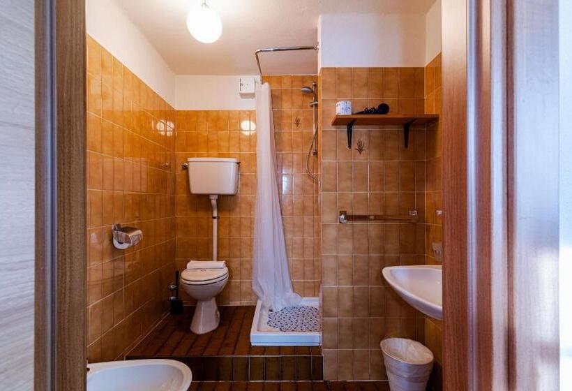 스탠다드 싱글 룸, Dufour