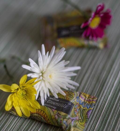 اتاق استاندارد سه نفره, Faris