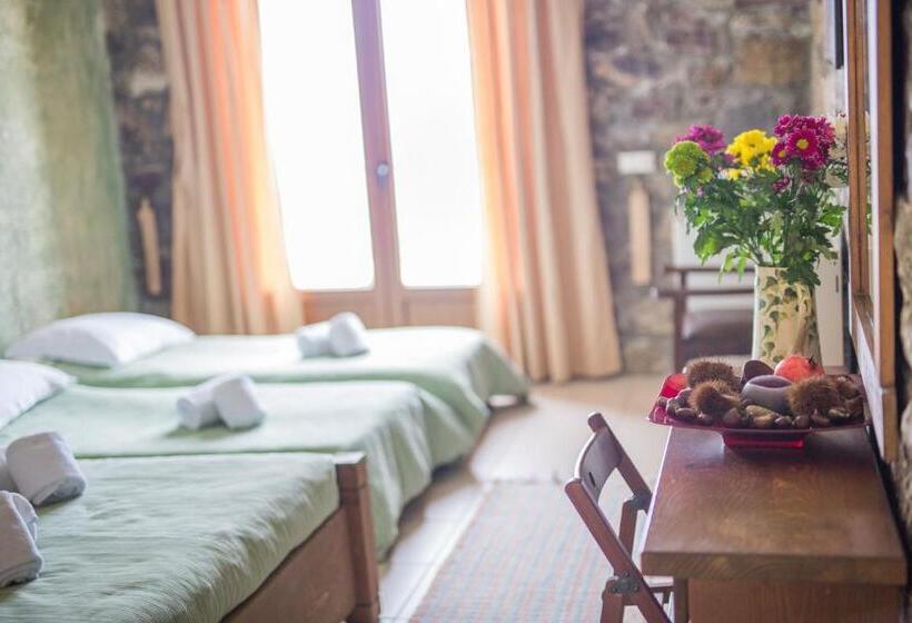 اتاق استاندارد چهار تخته, Faris